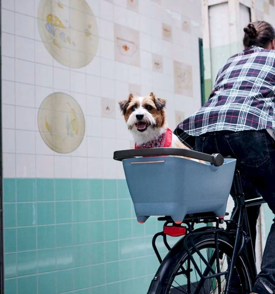 Basil Buddy MIK Hondenfietsmand - Achterop - Blauw 5 Basil Buddy MIK Hondenfietsmand - Achterop - Blauw - Afbeelding 5