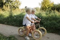 Little Dutch Loopfiets - Roze -Kortingswinkel voor outdoorartikelen ld8000 3